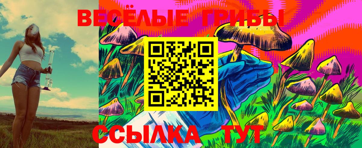 Галлюциногенные грибы GOLDEN TEACHER Вышний Волочёк